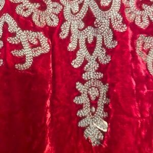 Sundance Embroidered Velour Top Medium Petite